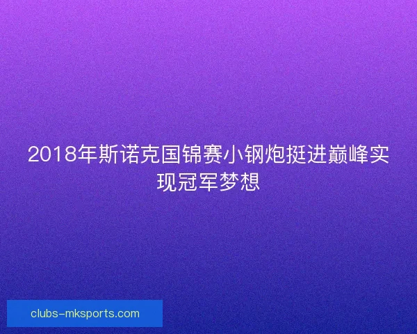 2018年斯诺克国锦赛小钢炮挺进巅峰实现冠军梦想 2018年斯诺克国锦赛小钢炮挺进巅峰实现冠军梦想