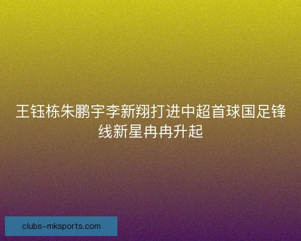 王钰栋朱鹏宇李新翔打进中超首球国足锋线新星冉冉升起