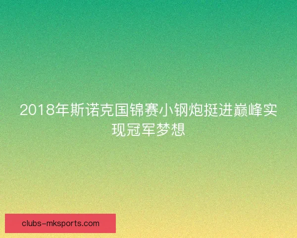 2018年斯诺克国锦赛小钢炮挺进巅峰实现冠军梦想