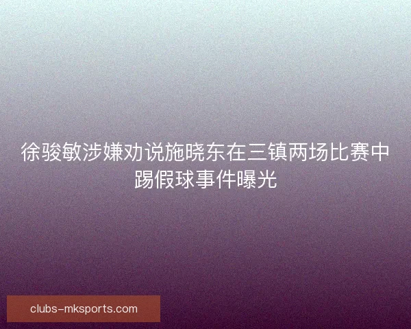 徐骏敏涉嫌劝说施晓东在三镇两场比赛中踢假球事件曝光